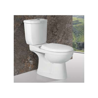 Bulk Supplier of S Trap and P Trap Ceramic Two Piece Toilets